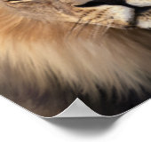 Die Löwen Poster (Ecke)