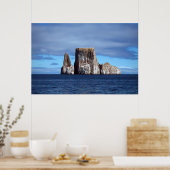 Die Löwen Poster (Küche)