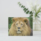 Die Löwen Postkarte (Stehend Vorderseite)