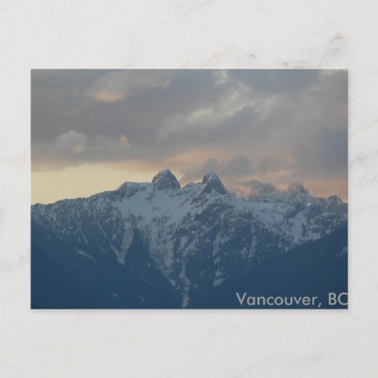 Die Löwen - Vancouver, BC Postkarte (Vorderseite)