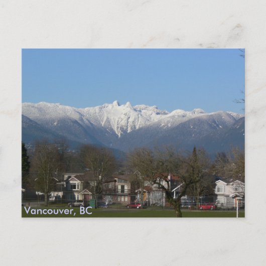 Die Löwen - Vancouver, BC Postkarte (Vorderseite)