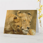 Die Löwin und die CUB-Karte Karte (Gelbe Blume)