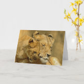 Die Löwin und die CUB-Karte Karte (Gelbe Blume)