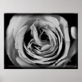 Die Lücke Poster (Vorne)