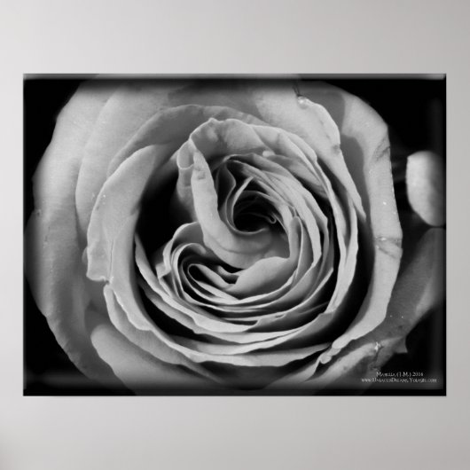 Die Lücke Poster (Vorne)