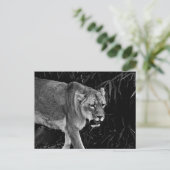 Die Lüge Postkarte (Stehend Vorderseite)