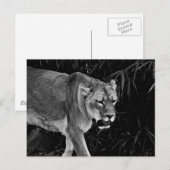 Die Lüge Postkarte (Vorne/Hinten)