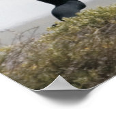 Die Lungenfunktion verbessert sich mit der Chiropr Poster (Ecke)