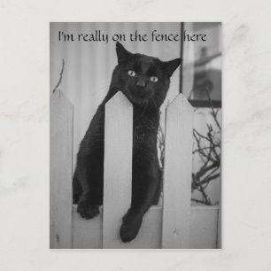 Die lustige Katze hängt an einem Zaun Postkarte