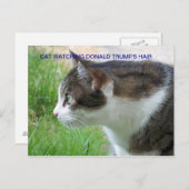 Die lustige Postkarte: Katze beobachtet Donald Tru Postkarte (Vorne/Hinten)