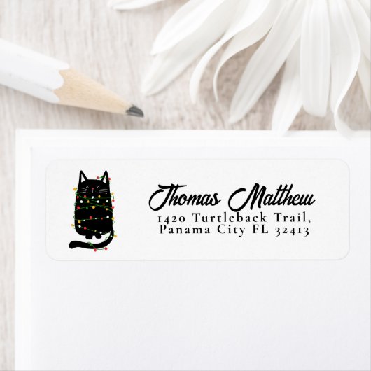 Die lustige schwarze Katze hat sich im Weihnachtsl (Insitu)