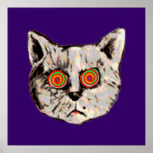 Die lustige verrückte Katze Poster (Vorne)