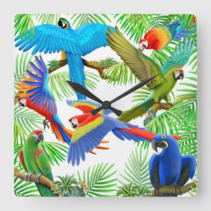Die macaw-Papageien-Dschungel-Wanduhr Quadratische Wanduhr
