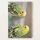 Die Mädchen Planer (Rückseite)