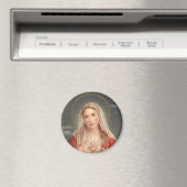 Die Madonna Magnet (In Situ (Geschirrspüler))