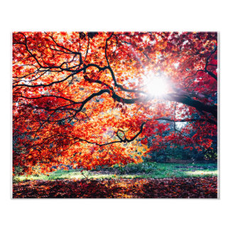 DIE MAGISCHEN FARBEN FOTODRUCK