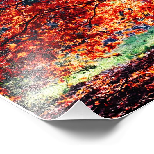 DIE MAGISCHEN FARBEN FOTODRUCK (Ecke)