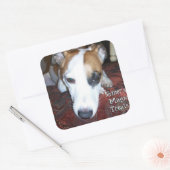 Die magischen Leckereien des Shiners Quadratischer Aufkleber (Umschlag)