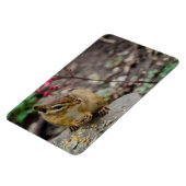 Die Mahlzeit des Chipmunks Magnet (Linke Seite)