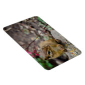 Die Mahlzeit des Chipmunks Magnet (Rechte Seite)