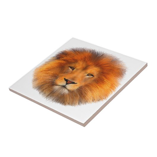 Die Mähne des Löwes Fliese (Seite)