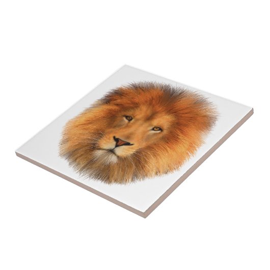 Die Mähne des Löwes Fliese (Seite)