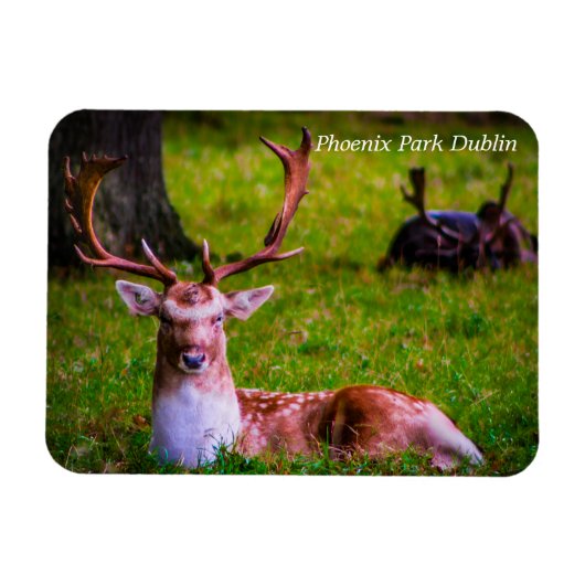 Die Majestät der Natur im Phoenixpark Magnet (Horizontal)