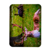 Die Majestät der Natur im Phoenixpark Magnet (Vertikal)