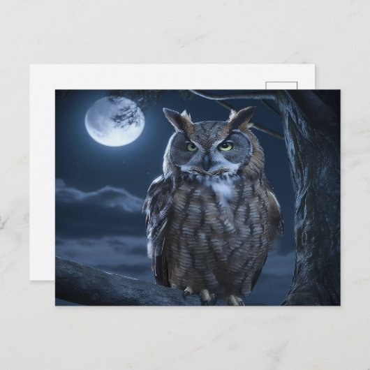 Die majestätische Eule Postkarte (Vorne/Hinten)