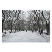 Die Mall, Central Park NY Fotodruck (Vorne)