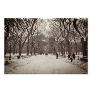 Die Mall, der Central Park Fotodruck