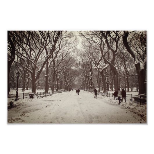 Die Mall, der Central Park Fotodruck (Vorne)