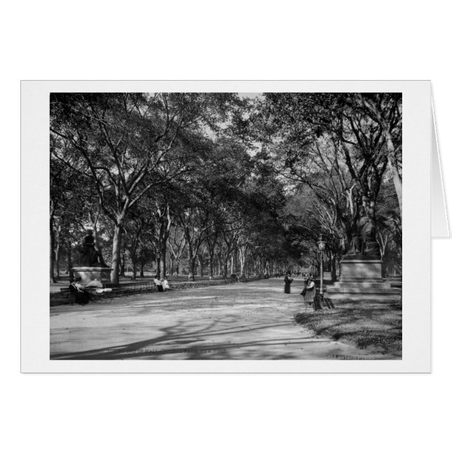 Die Mall im Central Park in New York City (Vorderseite (Horizontal))