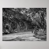 Die Mall im Central Park in New York City Poster (Vorne)