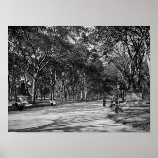 Die Mall im Central Park in New York City Poster (Vorne)