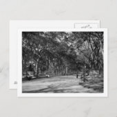 Die Mall im Central Park in New York City Postkarte (Vorne/Hinten)