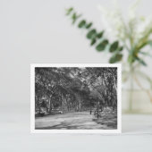 Die Mall im Central Park in New York City Postkarte (Stehend Vorderseite)