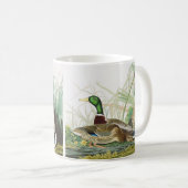 Die Mallard Duck Audubon Bird Malerei Kaffeetasse (VorderseiteRechts)