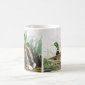 Die Mallard Duck Audubon Bird Malerei Kaffeetasse (Mittel)