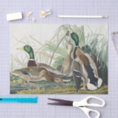 Die Mallard Duck Audubon Bird Malerei Seidenpapier (Handwerk)