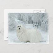 Die maltesische Postkarte schneebergen (Vorne/Hinten)