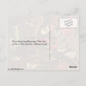 Die Manna Ernte von Bouts Dieric Postkarte (Rückseite)