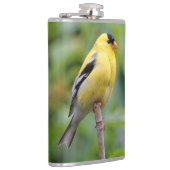 Die männliche amerikanische Goldfinch auf dem Bamb Flachmann (Rechts)