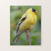 Die männliche amerikanische Goldfinch auf dem Bamb Puzzle (Vertikal)