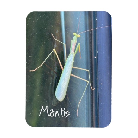 Die Mantis Magnet (Vertikal)