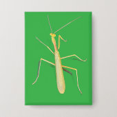 Die Mantis, Platz Button (Vorderseite)