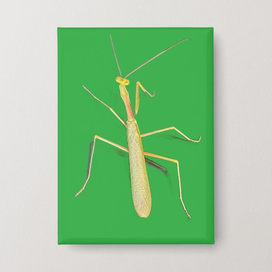 Die Mantis, Platz Button (Vorderseite)