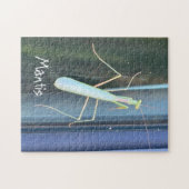 Die Mantis Puzzle (Horizontal)