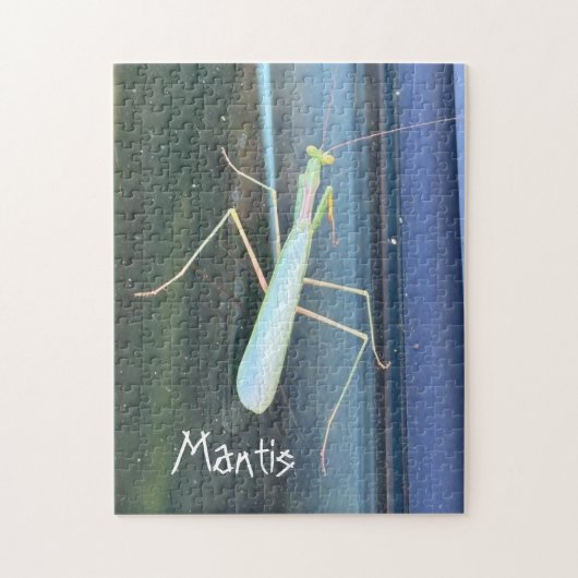 Die Mantis Puzzle (Vertikal)