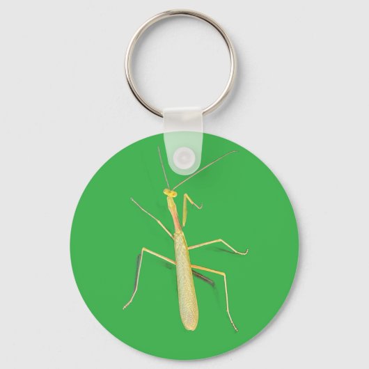 Die Mantis Schlüsselanhänger (Vorderseite)